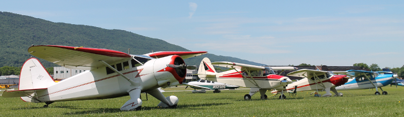 A row of small planes parked in a field.